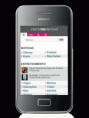 Huawei G7300