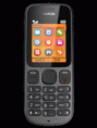 Nokia 100